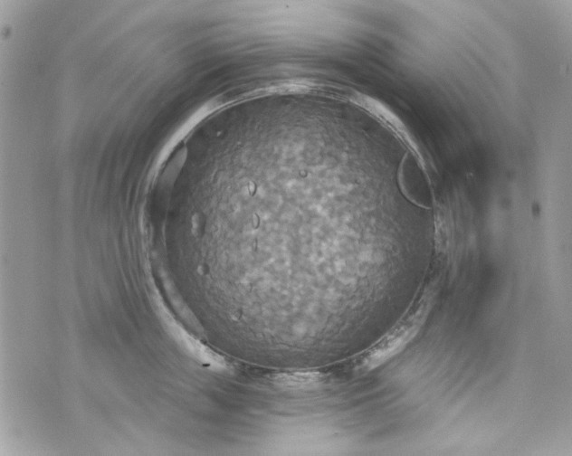 X0000070360859200606161250