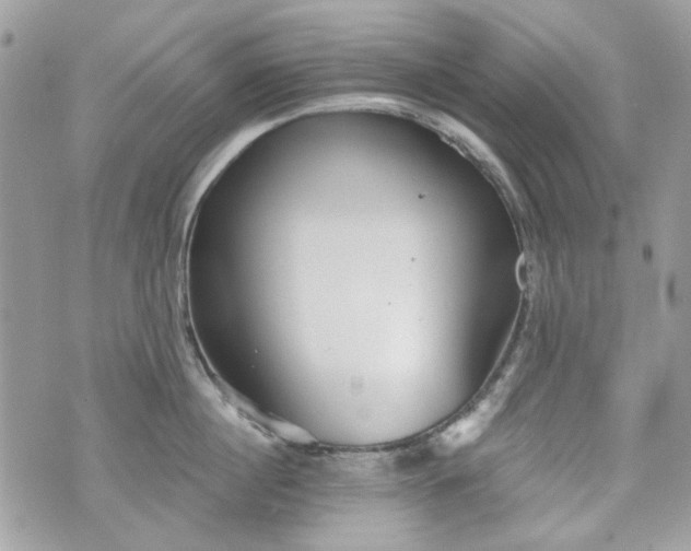 X0000070360860200606161250