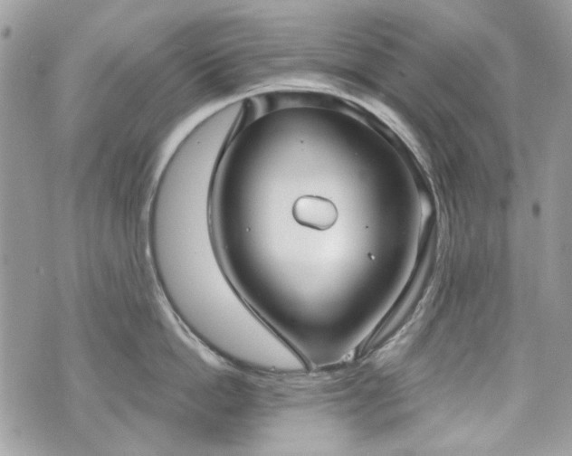 X0000070360862200606161250