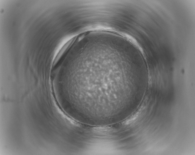 X0000070360863200606161250