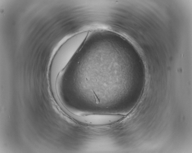 X0000070360864200606161250