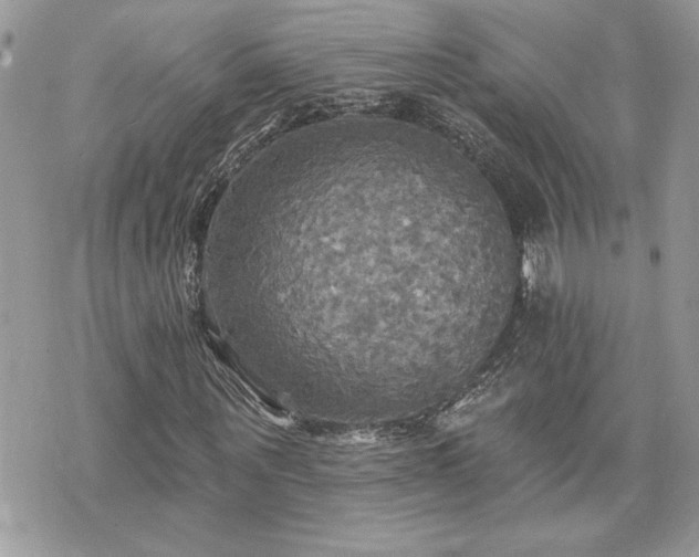 X0000070360867200606161249