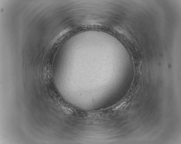 X0000070360870200606161249