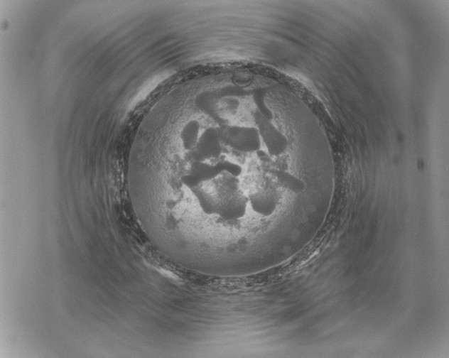 X0000070360871200606161249