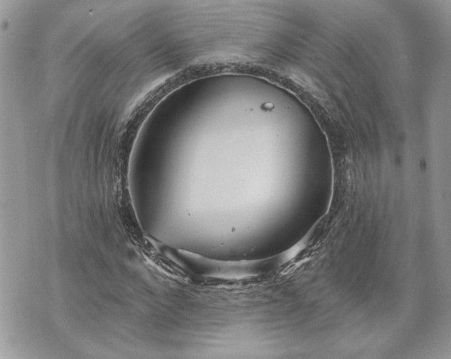 X0000070360872200606161249