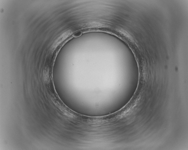 X0000070360873200606161249