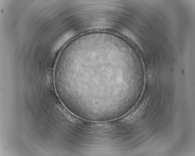 X0000070360874200606161249