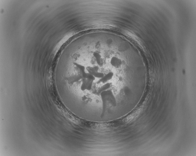 X0000070360875200606161249