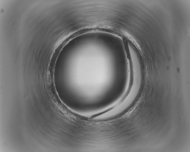 X0000070360876200606161249