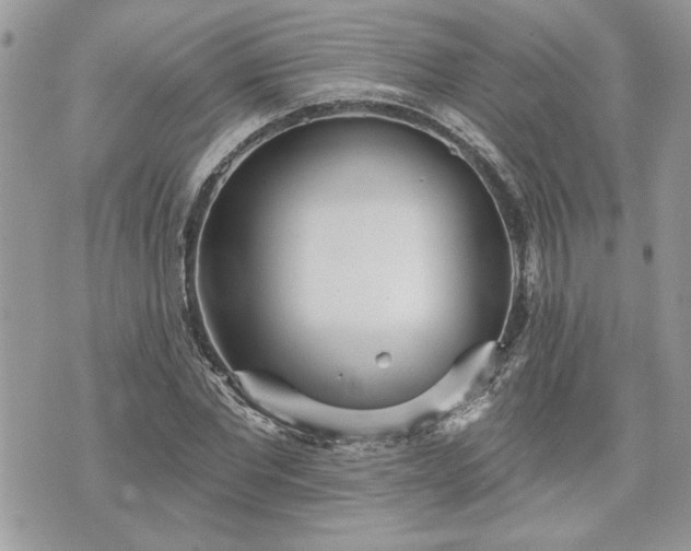 X0000070360877200606161249