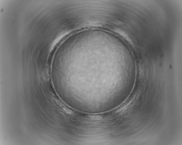 X0000070360878200606161249