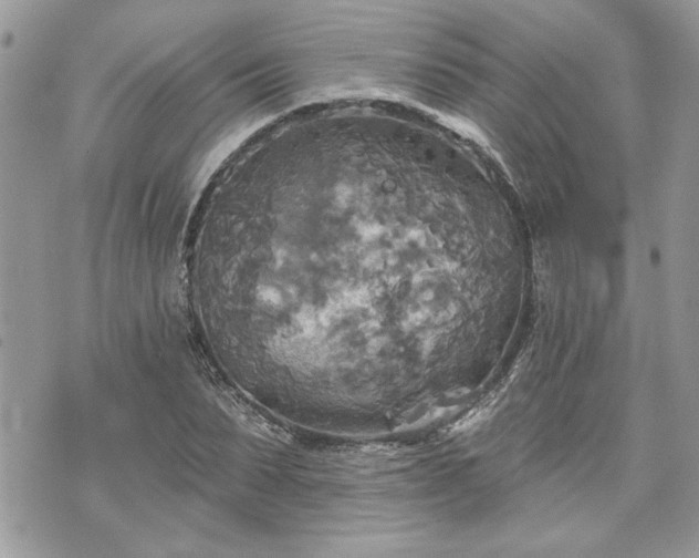 X0000070360879200606161249