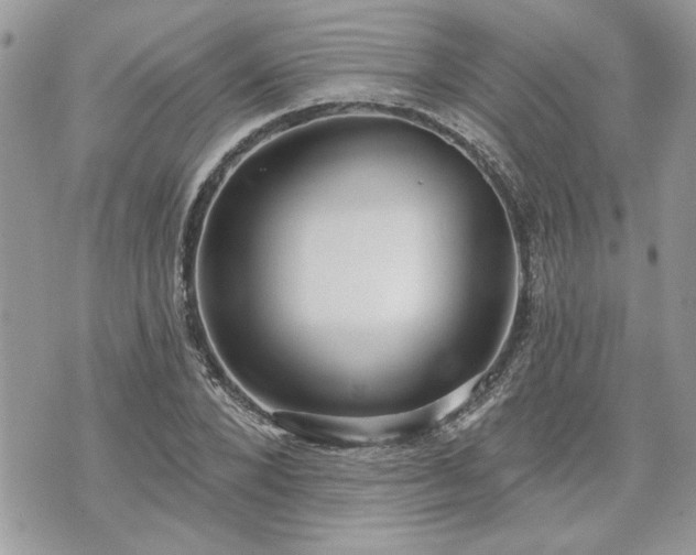 X0000070360880200606161249