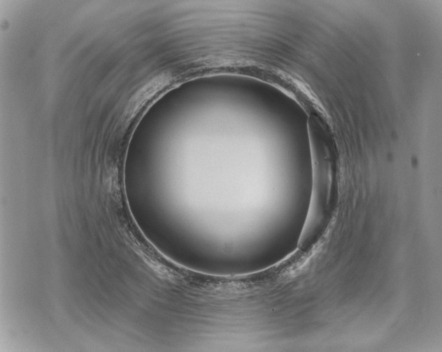 X0000070360881200606161249