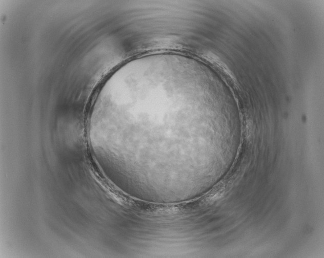 X0000070360882200606161249