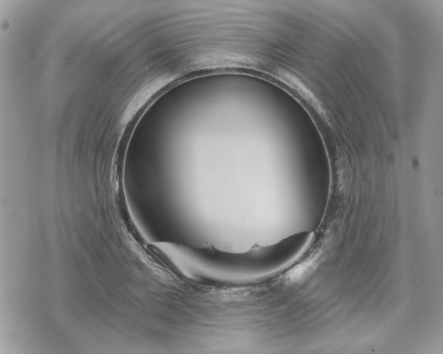 X0000070360885200606161249