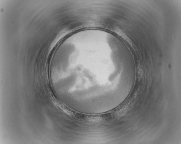 X0000070360886200606161249