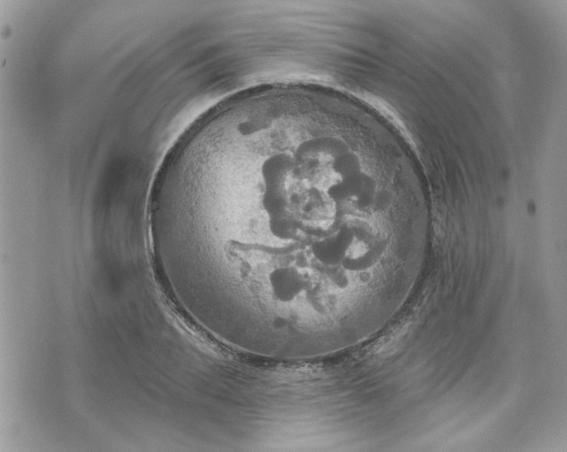 X0000070360887200606161249