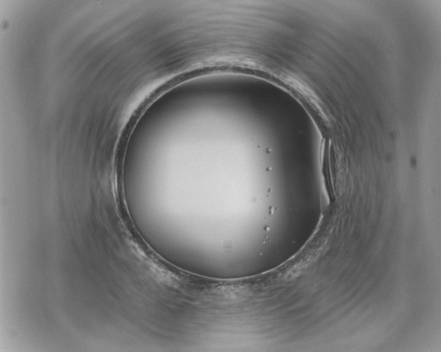 X0000070360888200606161249