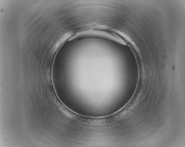 X0000070360889200606161249