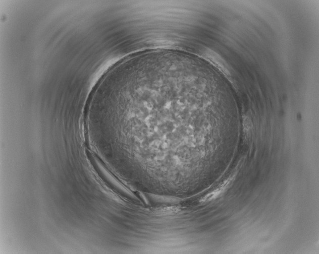 X0000070360891200606161249