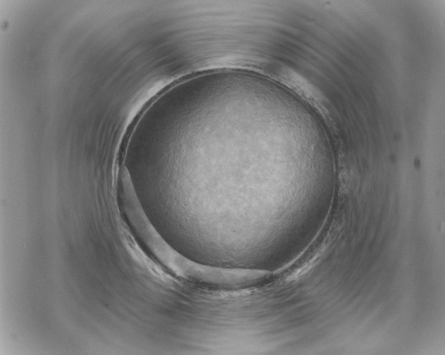 X0000070360892200606161249