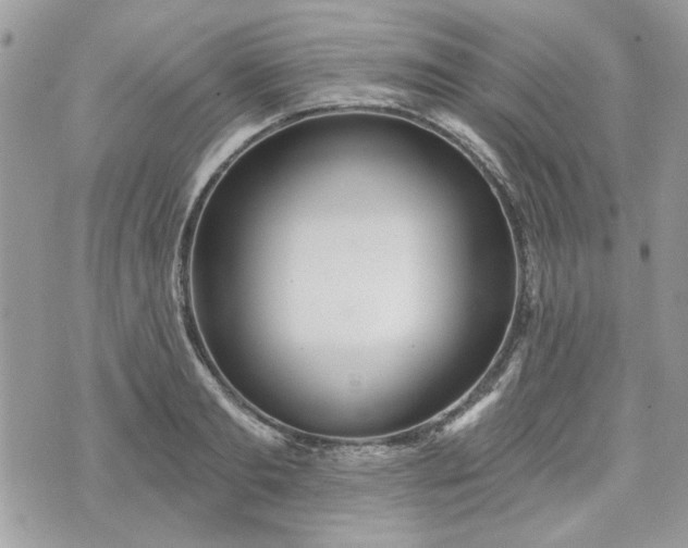 X0000070360893200606161249