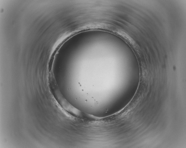 X0000070360894200606161249