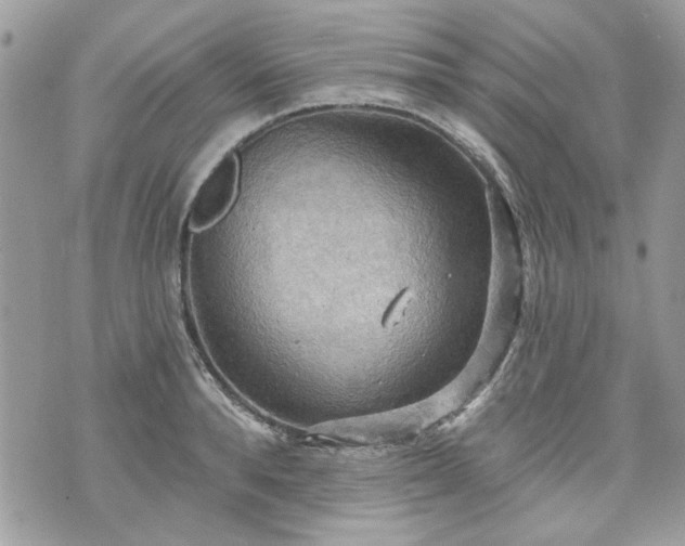 X0000070360896200606161248