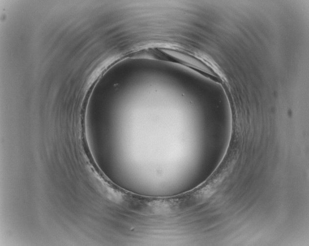 X0000070360898200606161248