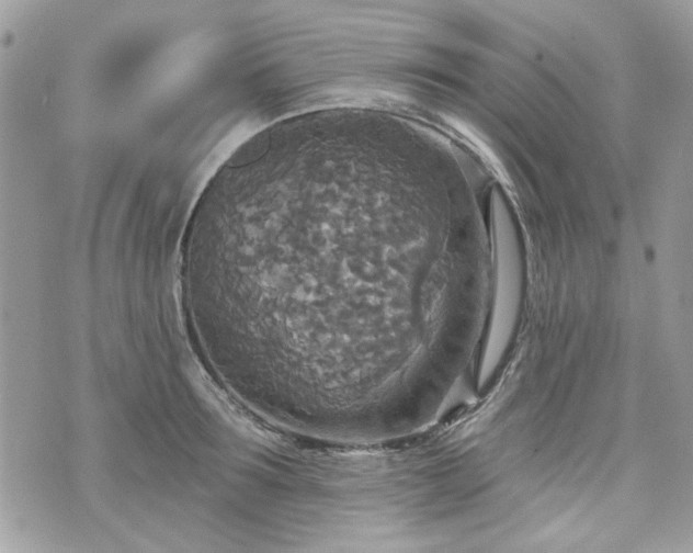 X0000070360899200606161248