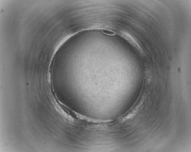 X0000070360900200606161248