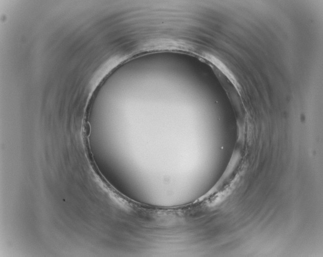 X0000070360901200606161248