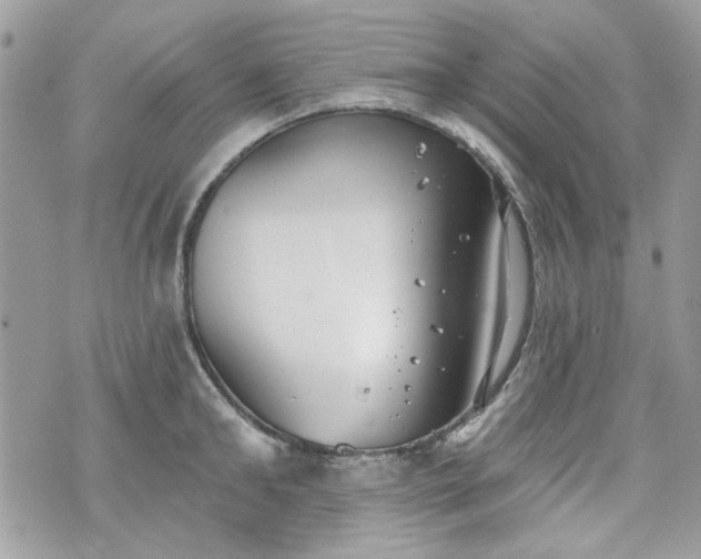 X0000070360902200606161248