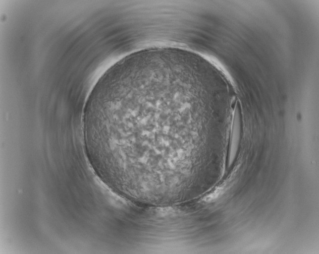 X0000070360903200606161248