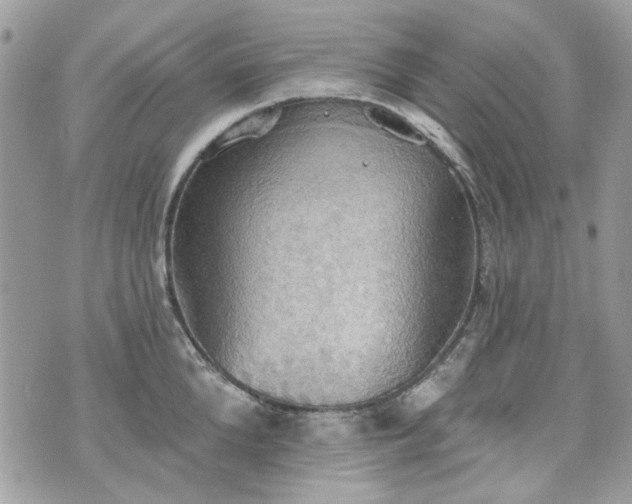 X0000070360904200606161248