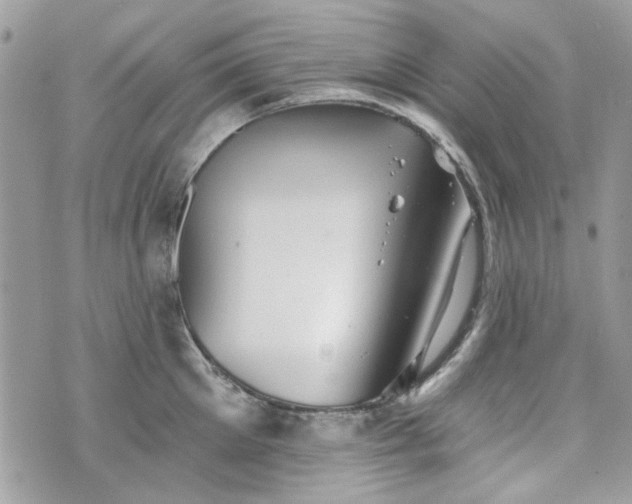 X0000070360905200606161248