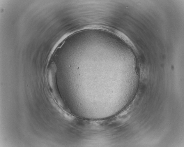 X0000070360908200606161248