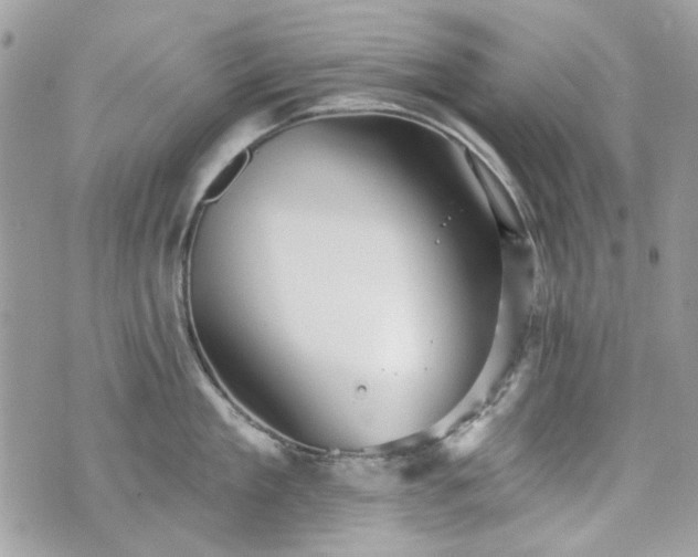 X0000070360909200606161248