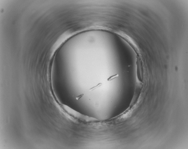 X0000070360910200606161248