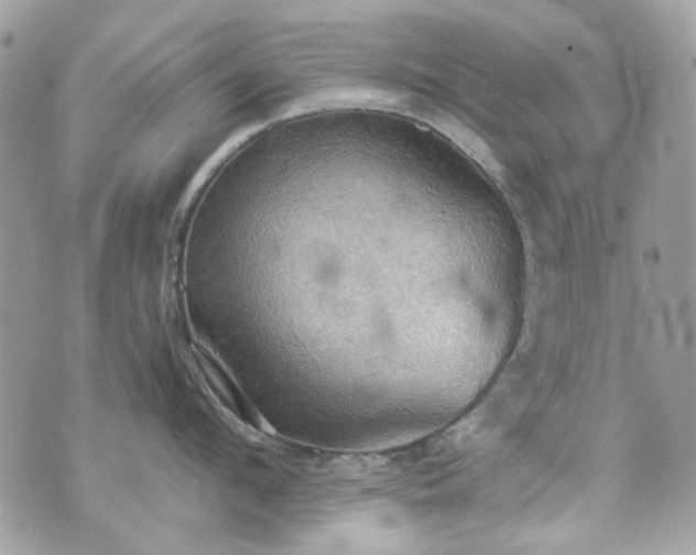 X0000070360912200606161248