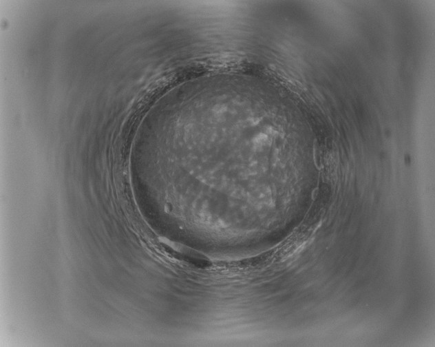 X0000070360913200606161247