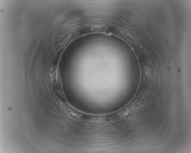 X0000070360914200606161247