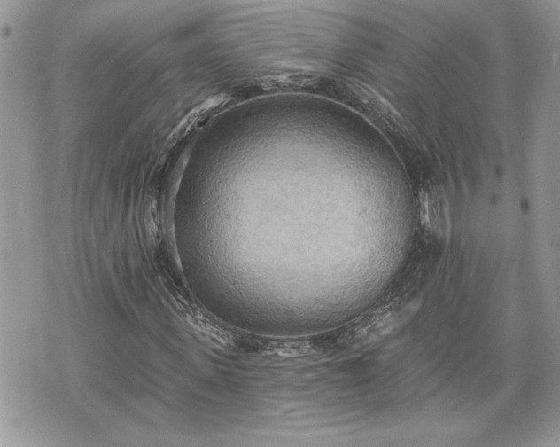 X0000070360915200606161247