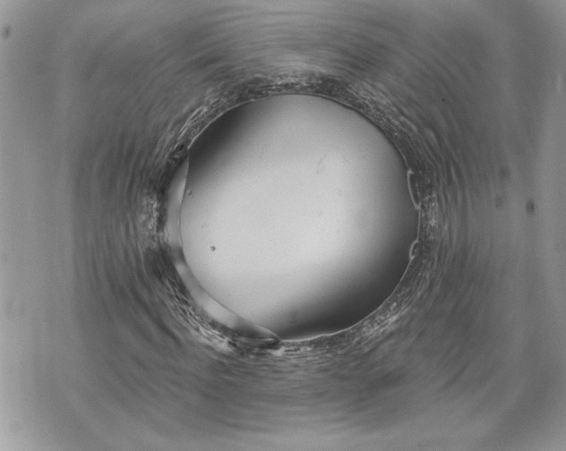 X0000070360916200606161248