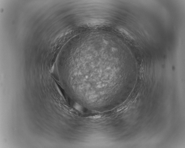 X0000070360917200606161248