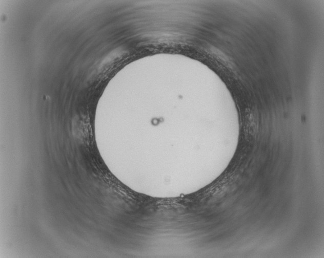 X0000070360918200606161248