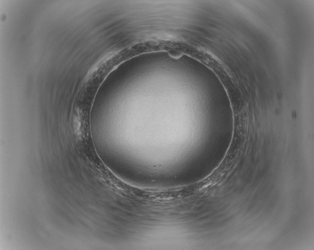 X0000070360919200606161248