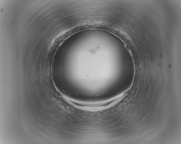 X0000070360920200606161248