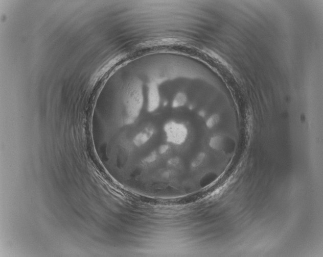 X0000070360921200606161248